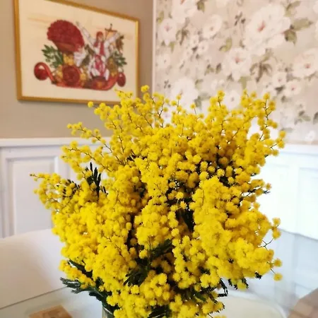 Camilla Bed & Breakfast Ivrea