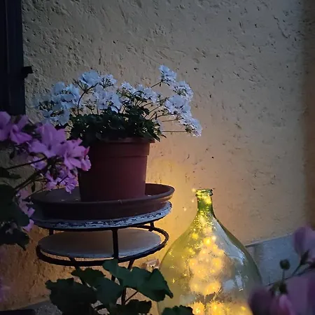 Bed & Breakfast Camilla 4*