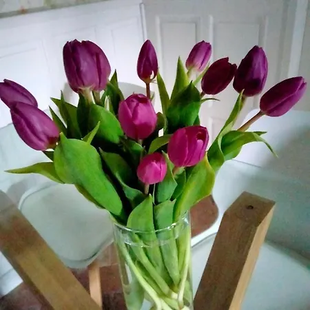 Camilla Bed & Breakfast