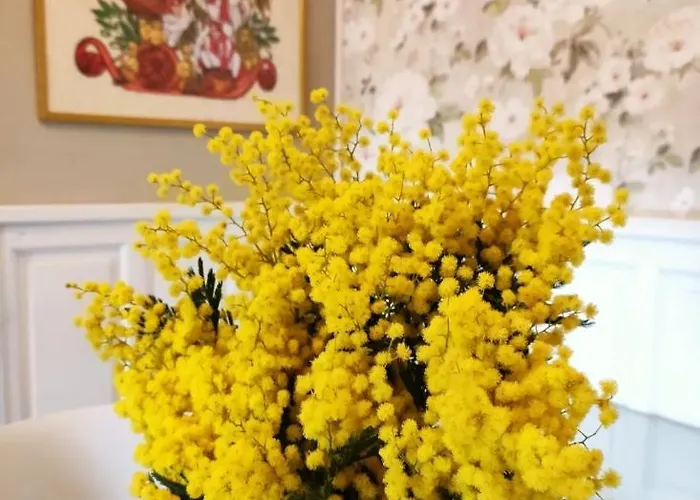 Camilla Oda ve Kahvaltı Ivrea