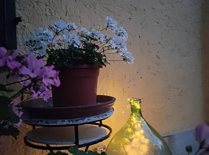 Oda ve Kahvaltı Camilla 4*